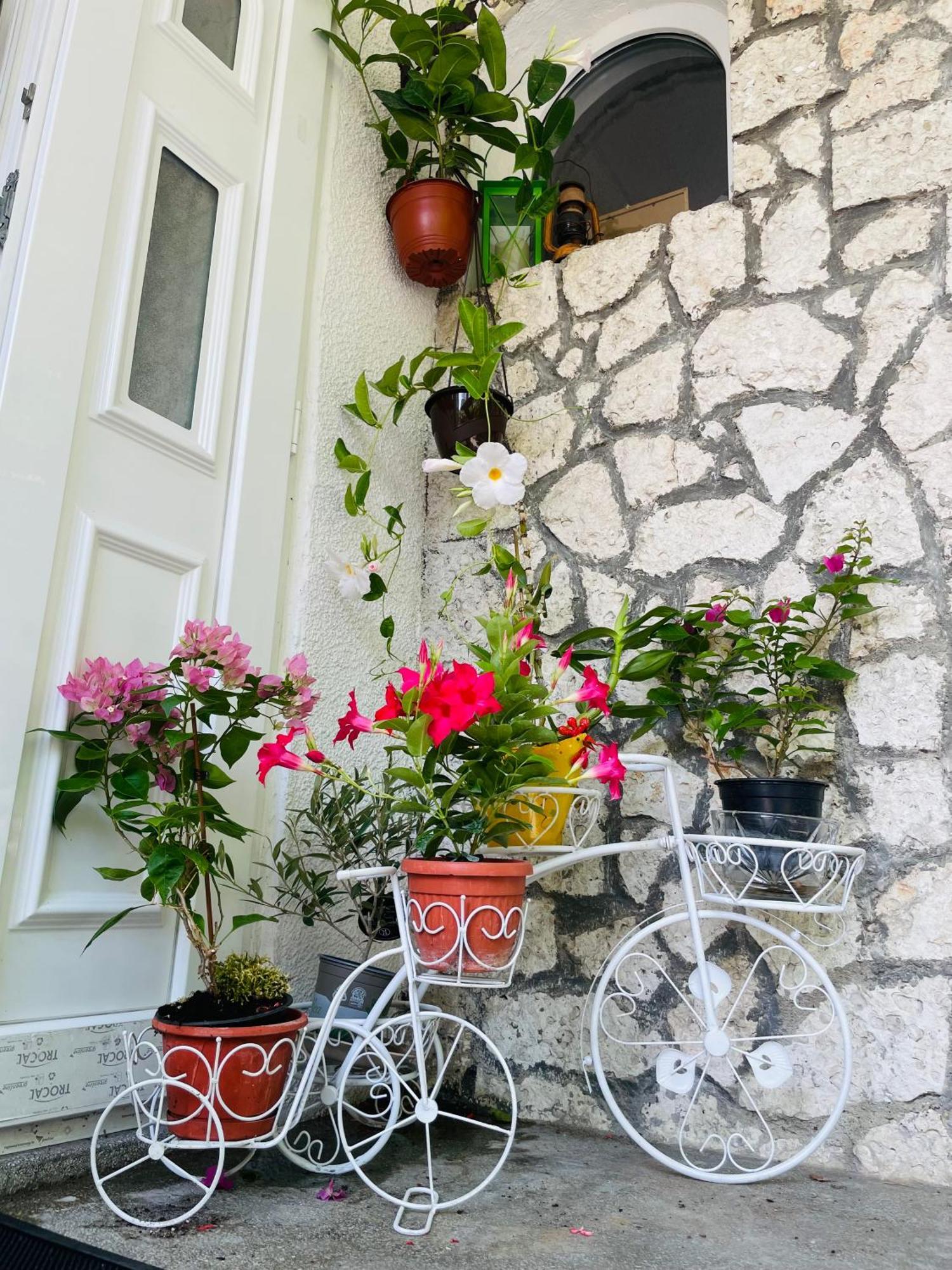 Guest House Blago Warna Zewnętrze zdjęcie